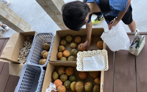 08C6E8D9-30E8-4F05-BD46-3D384FF7DD4B-min